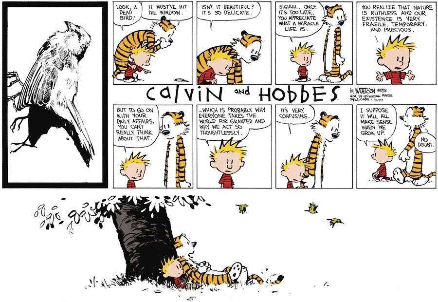 Calvin and Hobbes on Life