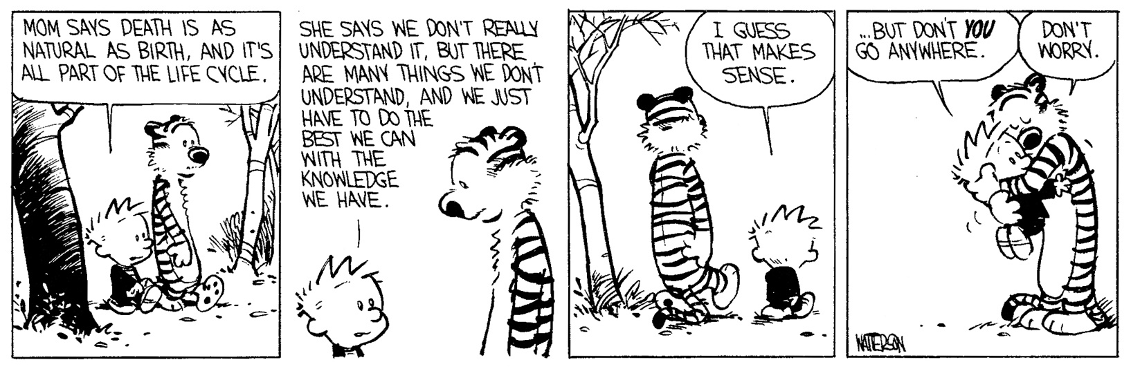 Calvin and Hobbes - Fragile Life