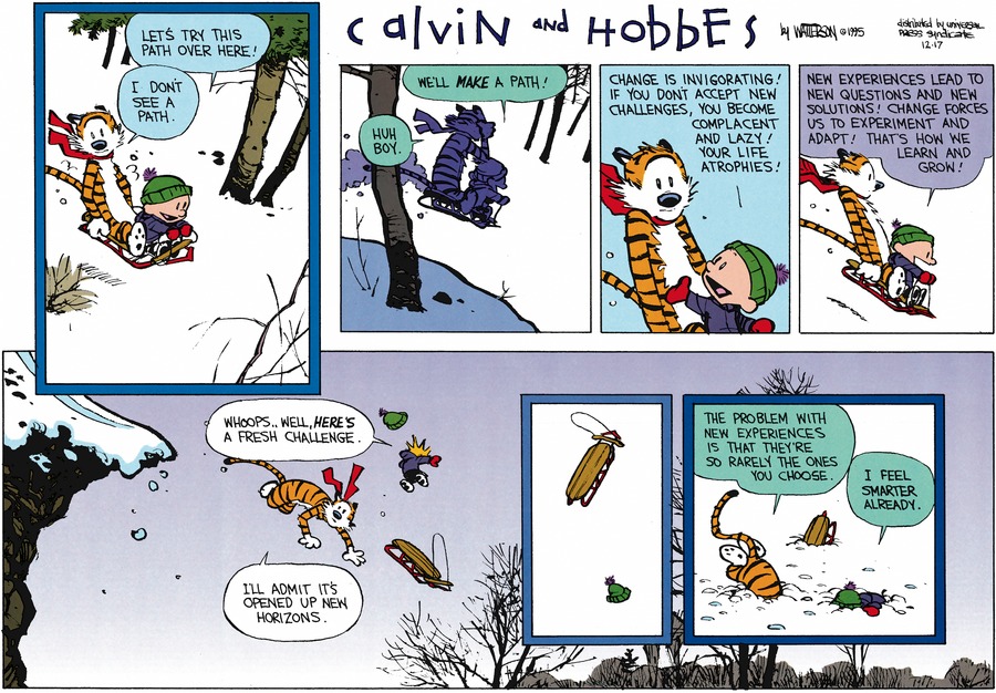 Calvin & Hobbes - Changes & Challenges