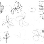 Initial flower concepts
