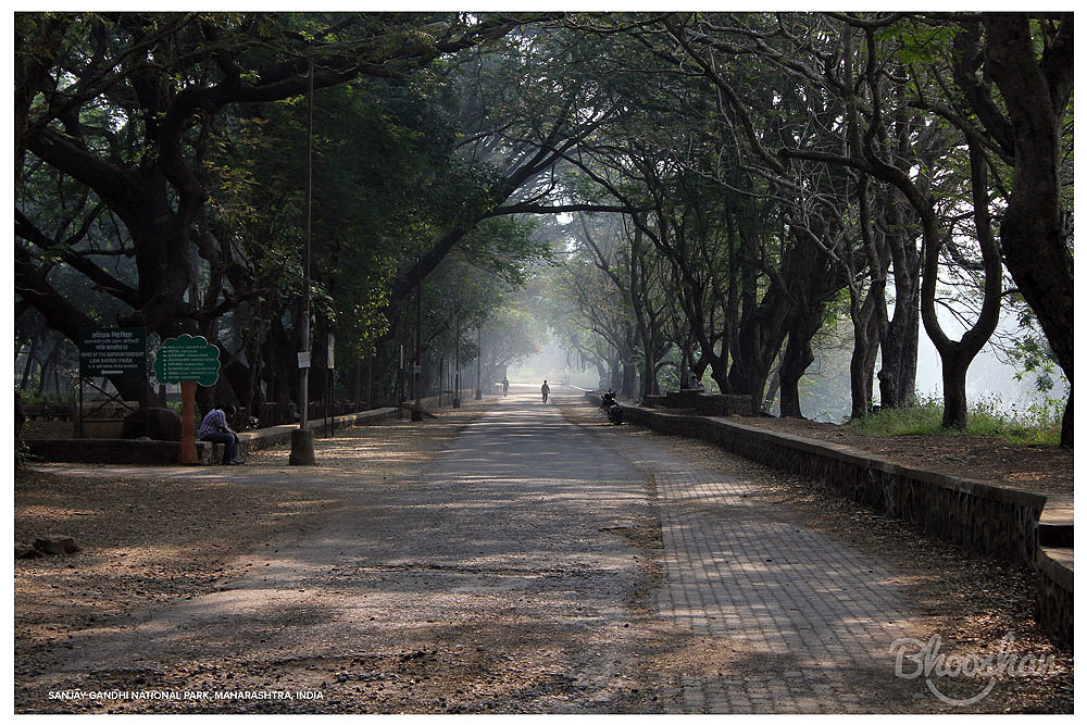 Earth Day - Sanjay Gandhi National Park, India